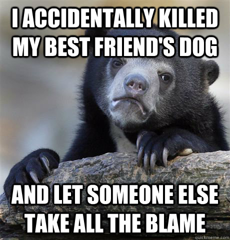 I accidentally killed my best friend's dog and let someone else take all the blame  Confession Bear