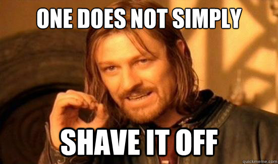 One Does Not Simply shave it off  Boromir
