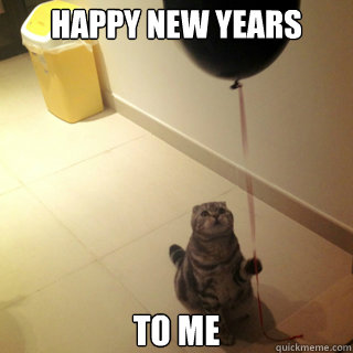 Happy New Years To me  Sad Birthday Cat