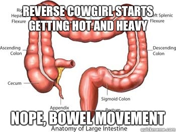 Reverse cowgirl starts getting hot and heavy Nope, bowel movement - Reverse cowgirl starts getting hot and heavy Nope, bowel movement  Scumbag Colon