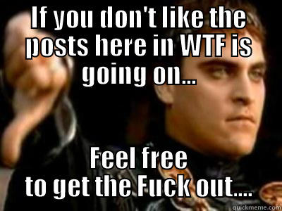 IF YOU DON'T LIKE THE POSTS HERE IN WTF IS GOING ON... FEEL FREE TO GET THE FUCK OUT.... Downvoting Roman