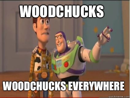 Woodchucks Woodchucks everywhere  woody and buzz
