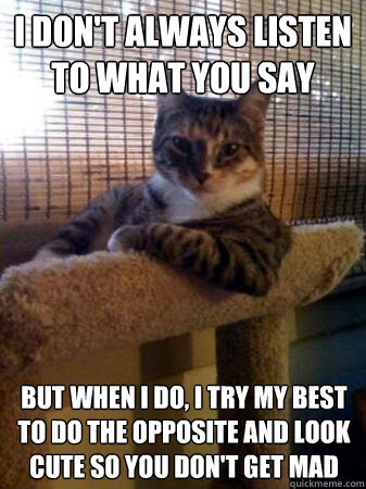 I don't always listen to what you say but when I do, i try my best to do the opposite and look cute so you don't get mad  The Most Interesting Cat in the World