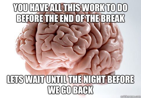 You have all this work to do before the end of the break Lets wait until the night before we go back  Scumbag Brain