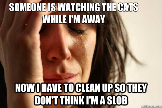 Someone is watching the cats while I'm away Now I have to clean up so they don't think I'm a slob  First World Problems