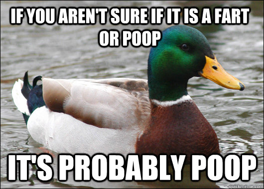 If you aren't sure if it is a fart or poop It's probably poop  Actual Advice Mallard