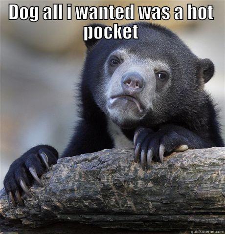 DOG ALL I WANTED WAS A HOT POCKET  Confession Bear