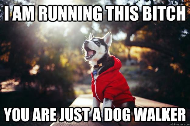 I am running this bitch you are just a dog walker  