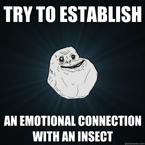 Try to establish an emotional connection with an insect  Forever Alone