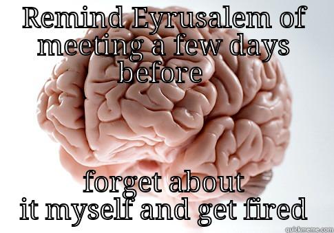 REMIND EYRUSALEM OF MEETING A FEW DAYS BEFORE  FORGET ABOUT IT MYSELF AND GET FIRED Scumbag Brain