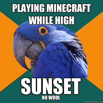Playing Minecraft while high Sunset No wool  Paranoid Parrot