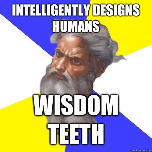 Intelligently designs humans Wisdom teeth  Advice God