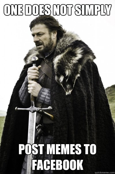 ONE DOES NOT SIMPLY POST MEMES TO FACEBOOK  Brace Steve
