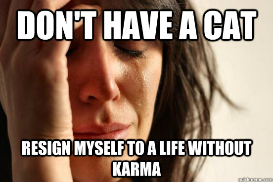 Don't have a cat resign myself to a life without karma  First World Problems