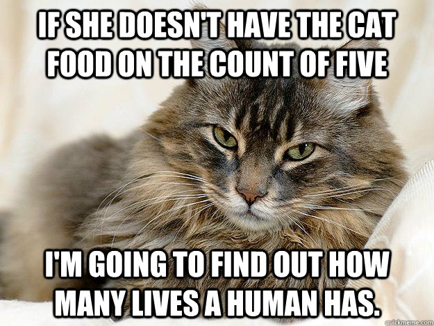 if she doesn't have the cat food on the count of five I'm going to find out how many lives a human has.  cat food