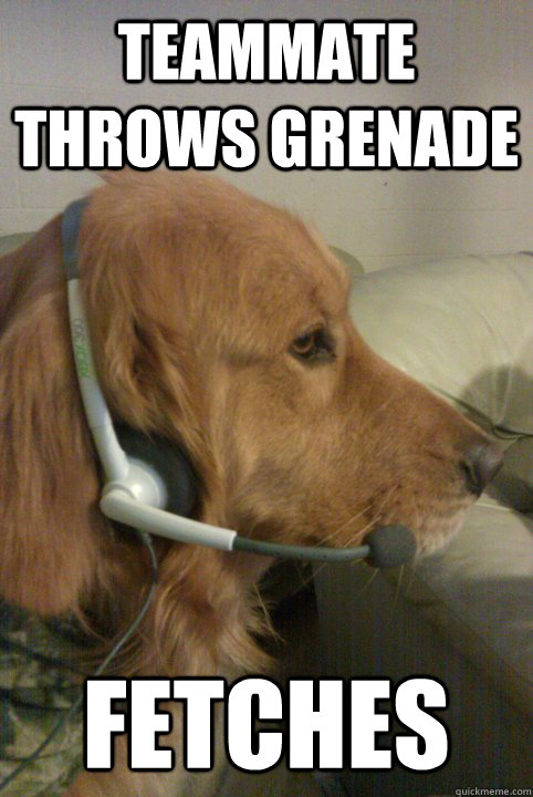 Teammate Throws grenade fetches - Teammate Throws grenade fetches  Xbox Live Dog