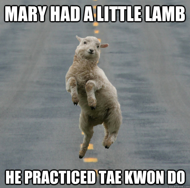Mary had a little lamb He practiced tae kwon do  