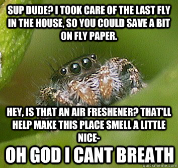 Sup dude? I took care of the last fly in the house, so you could save a bit on fly paper. Hey, is that an air freshener? That'll help make this place smell a little nice- OH GOD I CANT BREATH  Misunderstood Spider