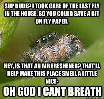 Sup dude? I took care of the last fly in the house, so you could save a bit on fly paper. Hey, is that an air freshener? That'll help make this place smell a little nice- OH GOD I CANT BREATH - Sup dude? I took care of the last fly in the house, so you could save a bit on fly paper. Hey, is that an air freshener? That'll help make this place smell a little nice- OH GOD I CANT BREATH  Misunderstood Spider