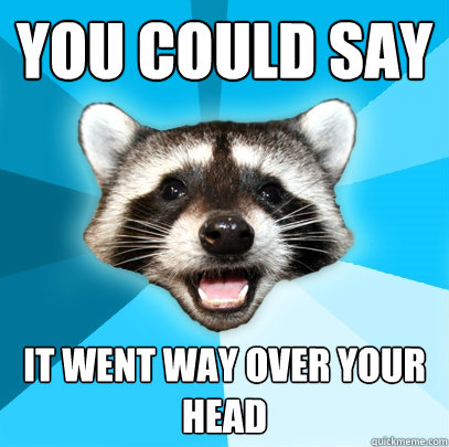 YOU COULD SAY IT WENT WAY OVER YOUR HEAD  Lame Pun Coon