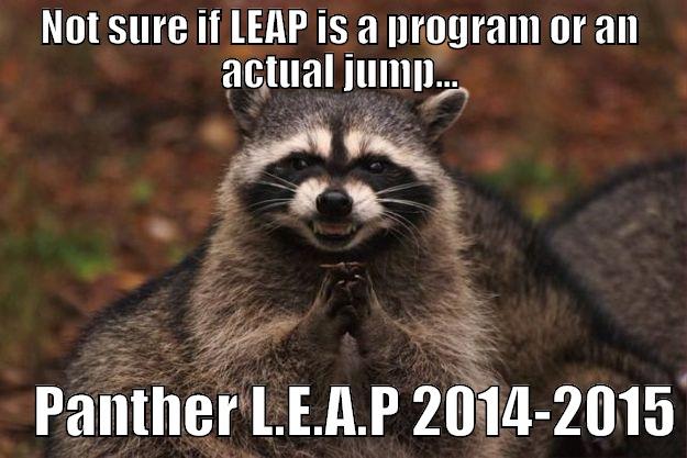 NOT SURE IF LEAP IS A PROGRAM OR AN ACTUAL JUMP...     PANTHER L.E.A.P 2014-2015 Evil Plotting Raccoon