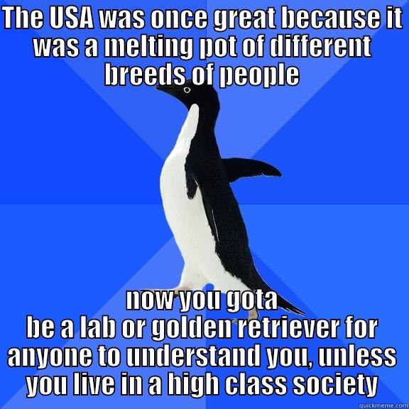 THE USA WAS ONCE GREAT BECAUSE IT WAS A MELTING POT OF DIFFERENT BREEDS OF PEOPLE NOW YOU GOTA BE A LAB OR GOLDEN RETRIEVER FOR ANYONE TO UNDERSTAND YOU, UNLESS YOU LIVE IN A HIGH CLASS SOCIETY Socially Awkward Penguin