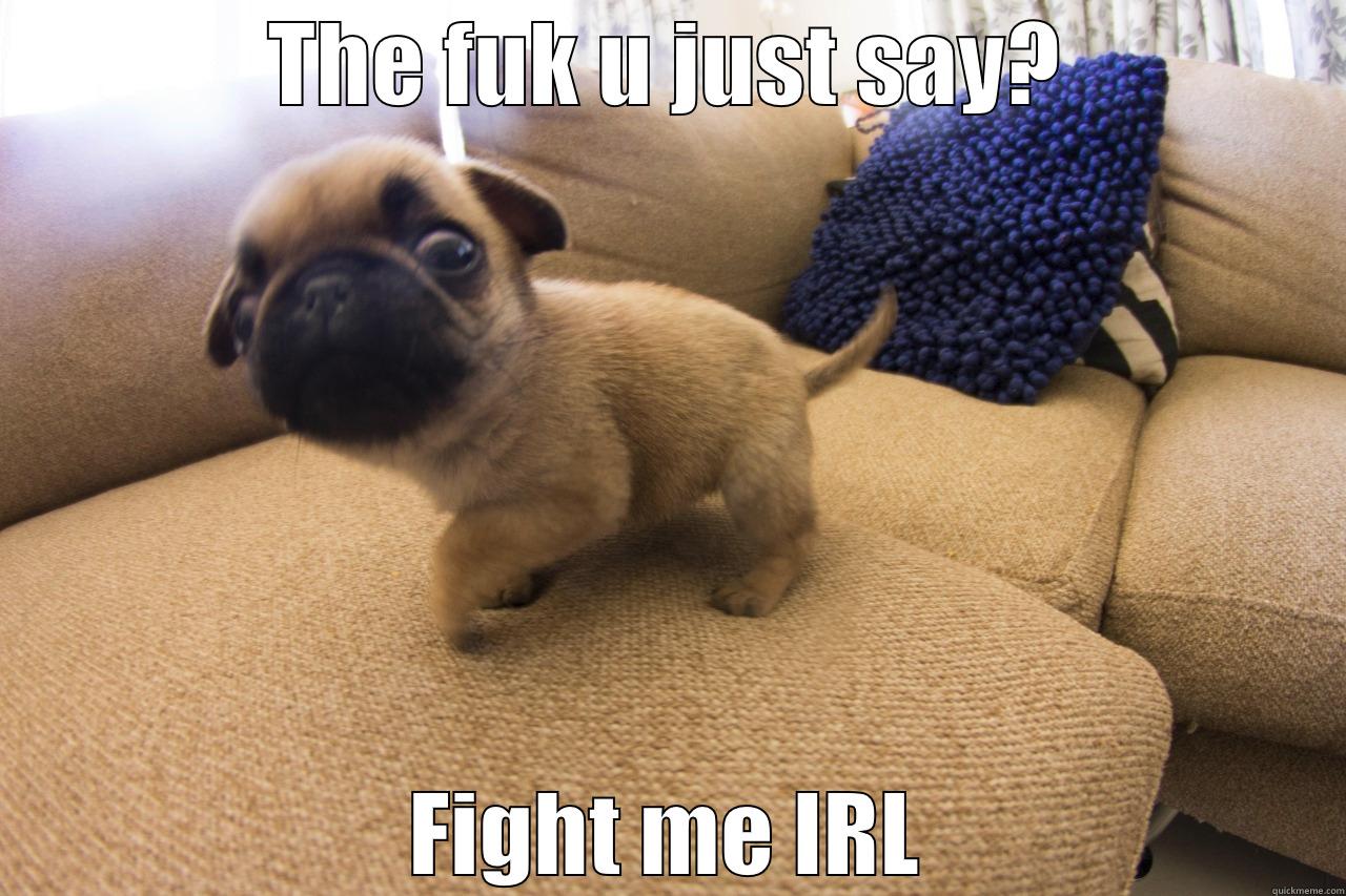 THE FUK U JUST SAY? FIGHT ME IRL Misc