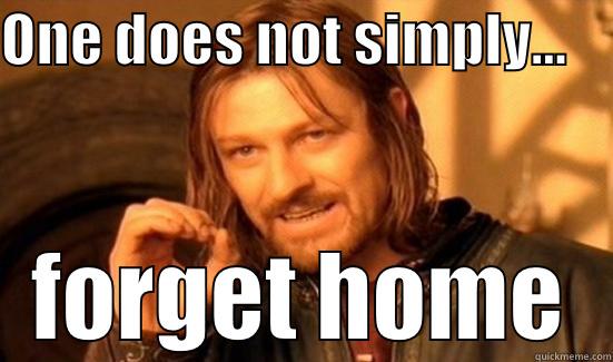 ONE DOES NOT SIMPLY...     FORGET HOME Boromir
