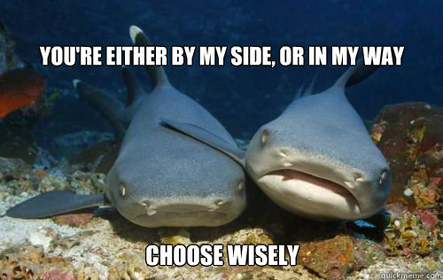 You're Either By My Side, Or In My Way Choose Wisely  Compassionate Shark Friend