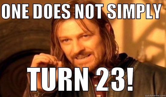 ONE DOES NOT SIMPLY  TURN 23! Boromir