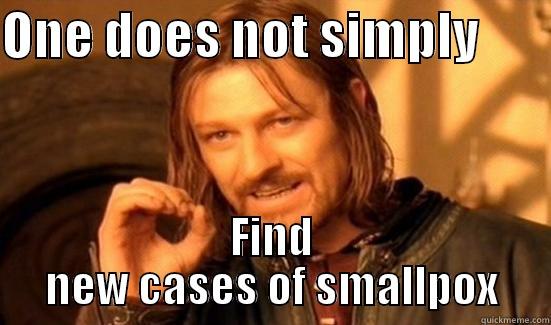 ONE DOES NOT SIMPLY        FIND NEW CASES OF SMALLPOX Boromir