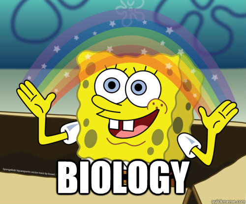  Biology  Spongebob rainbow