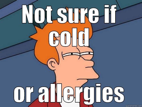 NOT SURE IF COLD OR ALLERGIES Futurama Fry
