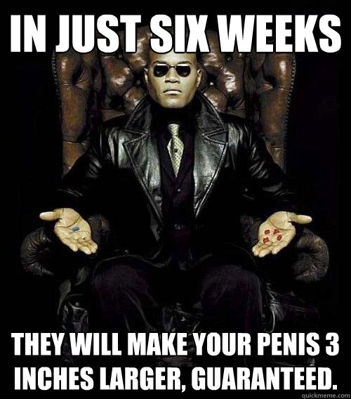 In just six weeks they will make your penis 3 inches larger, guaranteed.  Morpheus