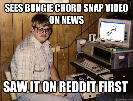 Sees bungie chord snap video on news saw it on reddit first  Average Redditor