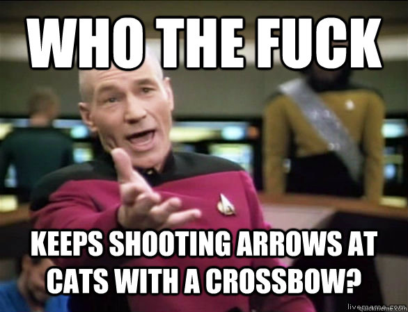 who the fuck keeps shooting arrows at cats with a crossbow?  Annoyed Picard HD