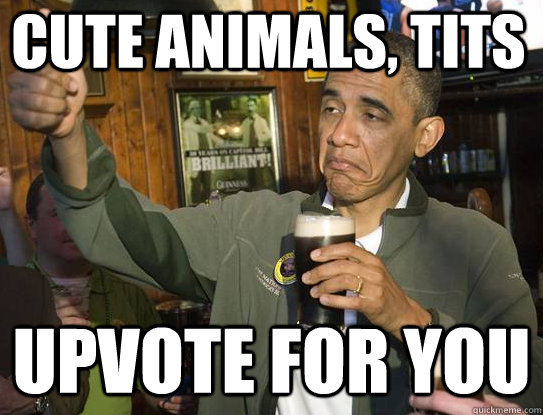 Cute animals, tits upvote for you   Upvoting Obama