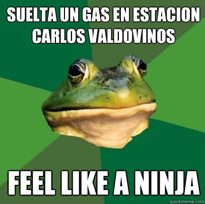 Suelta un gas en estacion carlos valdovinos Feel like a ninja  Foul Bachelor Frog