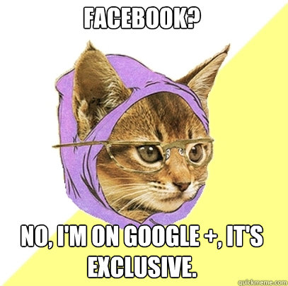 Facebook? no, I'm on Google +, it's exclusive.  Hipster Kitty