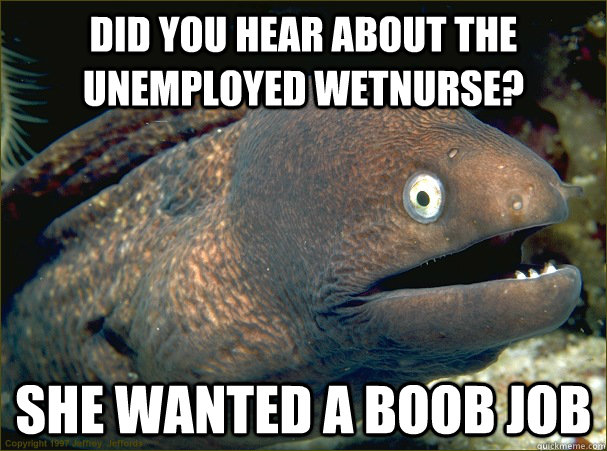 did you hear about the unemployed wetnurse? she wanted a boob job  Bad Joke Eel