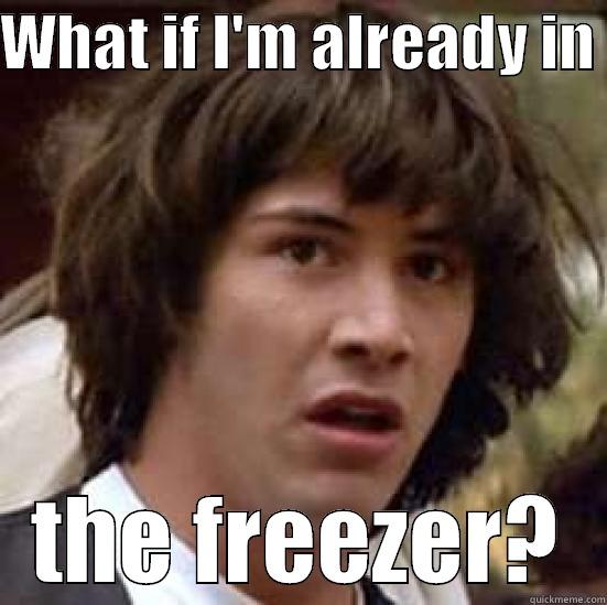 WHAT IF I'M ALREADY IN  THE FREEZER? conspiracy keanu