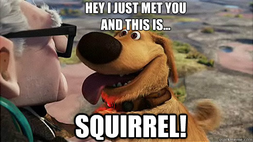Hey i just met you
and this is... squirrel! - Hey i just met you
and this is... squirrel!  Forever Alone Dug