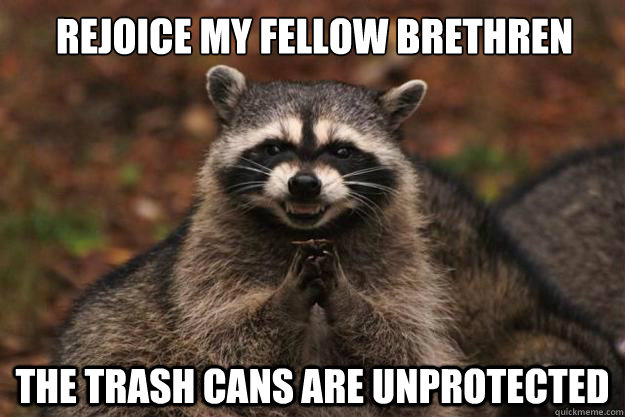 rejoice my fellow brethren the trash cans are unprotected  Evil Plotting Raccoon