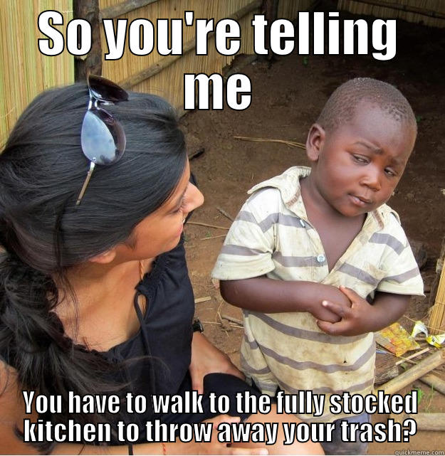 SO YOU'RE TELLING ME YOU HAVE TO WALK TO THE FULLY STOCKED KITCHEN TO THROW AWAY YOUR TRASH? Skeptical Third World Kid