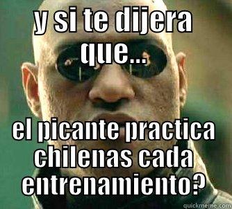 Y SI TE DIJERA QUE... EL PICANTE PRACTICA CHILENAS CADA ENTRENAMIENTO? Matrix Morpheus