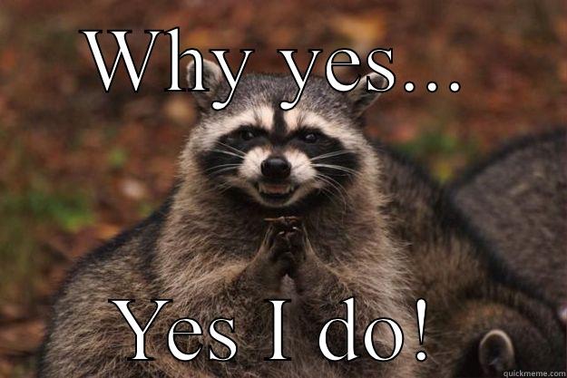 WHY YES... YES I DO! Evil Plotting Raccoon