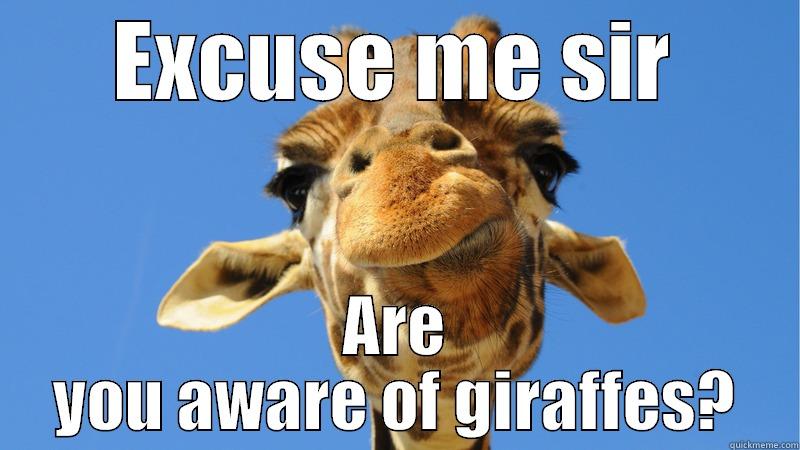 Giraffe Awareness Month - EXCUSE ME SIR ARE YOU AWARE OF GIRAFFES? Misc