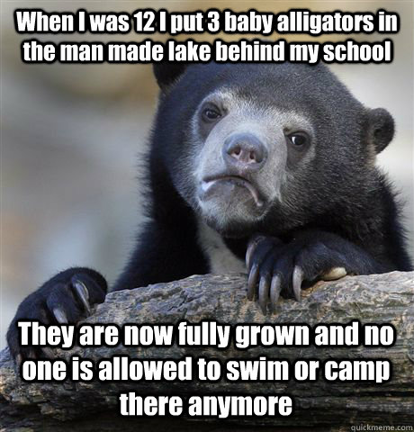 When I was 12 I put 3 baby alligators in the man made lake behind my school They are now fully grown and no one is allowed to swim or camp there anymore - When I was 12 I put 3 baby alligators in the man made lake behind my school They are now fully grown and no one is allowed to swim or camp there anymore  Confession Bear