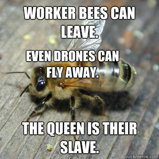 Worker bees can leave. The Queen is their slave. Even drones can fly away. - Worker bees can leave. The Queen is their slave. Even drones can fly away.  Hivemind bee