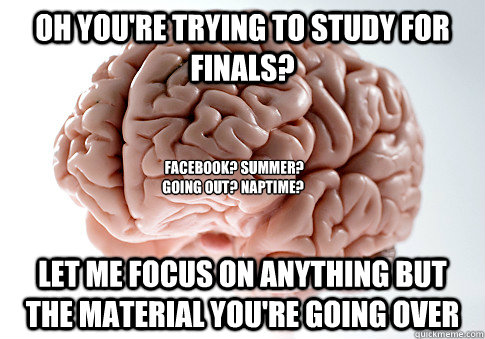 Oh You're trying to study for finals? Let me focus on anything but the material you're going over Facebook? Summer? Going out? Naptime?   Scumbag Brain